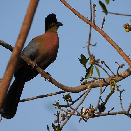 Dagama Dam - White River - Kestrel - House 21 ภายนอก รูปภาพ