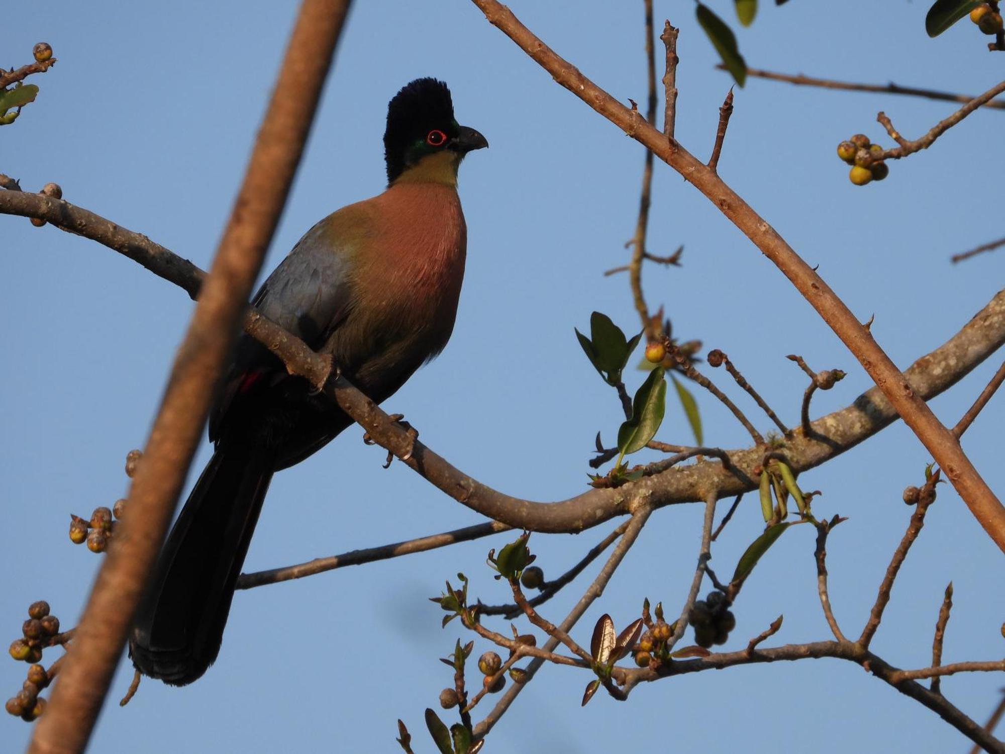 Dagama Dam - White River - Kestrel - House 21 ภายนอก รูปภาพ