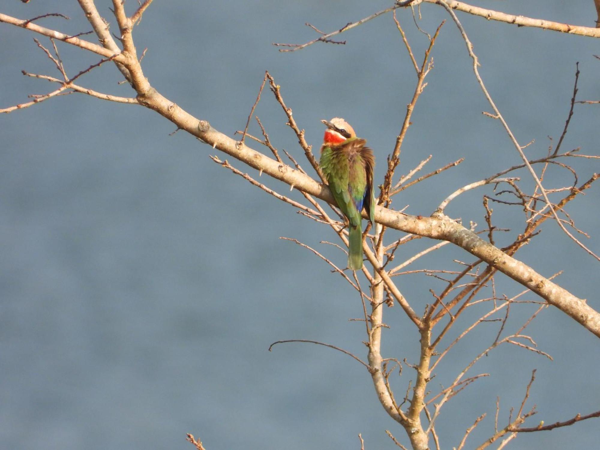 Dagama Dam - White River - Kestrel - House 21 ภายนอก รูปภาพ